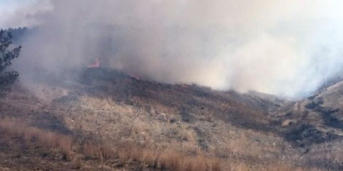 Kozan’da Orman Yangını