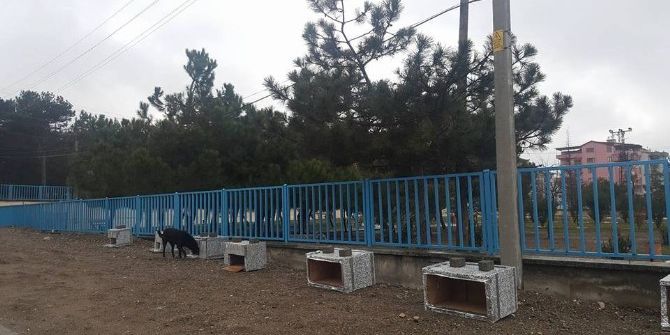 Gençlik Merkezi Sokaktaki Canları Unutmadı