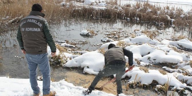 Van’da Yaban Hayvanlarına Yem Desteği