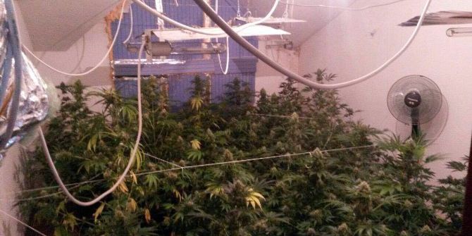 Lüks Villa Kenevir Tarlası Çıktı