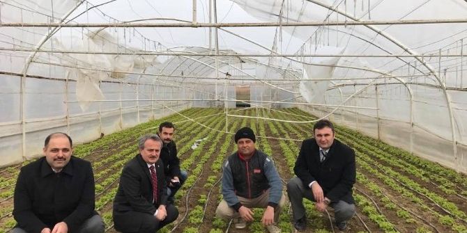 Karda Hasar Görmüş Sera Ve Yüksek Tünellerde İnceleme