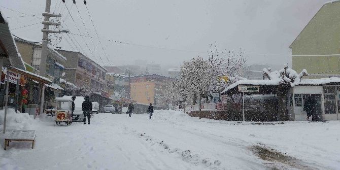 Kulp’ta Kar Yağışı Hayatı Durma Noktasına Getirdi