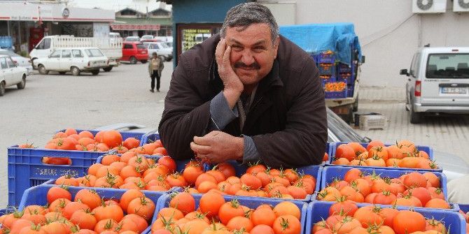 Domates Üreticileri Zor Günler Geçiyor