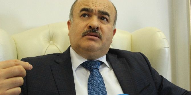 Karadeniz Sahillerine Vuran Büyükbaş Hayvanlarla İlgili Vali Dağlı Konuştu