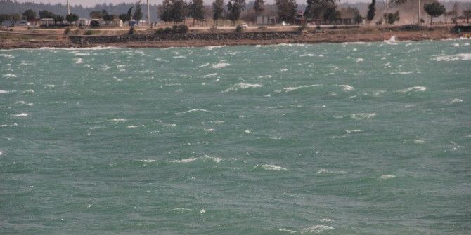 Adana’da Rüzgar Ağaçları Kökünden Söktü