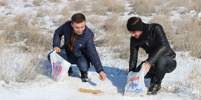 Kyk’lı Gençlerden Hayvanlara Yem
