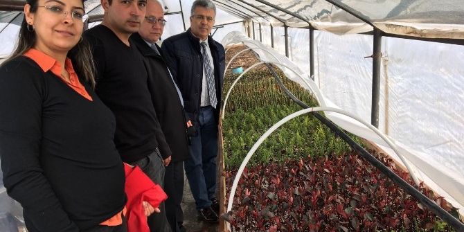 Milas Belediyesi Kendi Çiçeklerini Yetiştiriyor