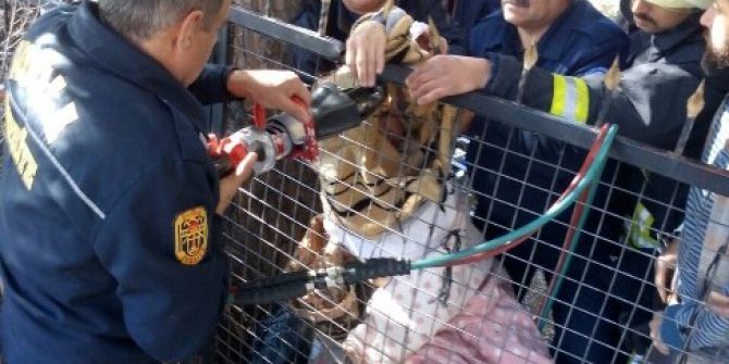 Balkondan Korkuluğa Düşen Kadını İtfaiye Kurtardı