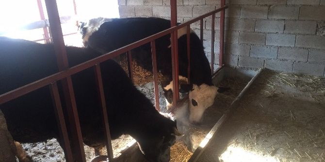 Orman Ve Su İşleri Bakanlığı’nın Köylülere Desteği Sürüyor