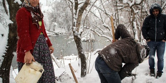 Kışlık Tatlar Kar Altından Çıkarıldı