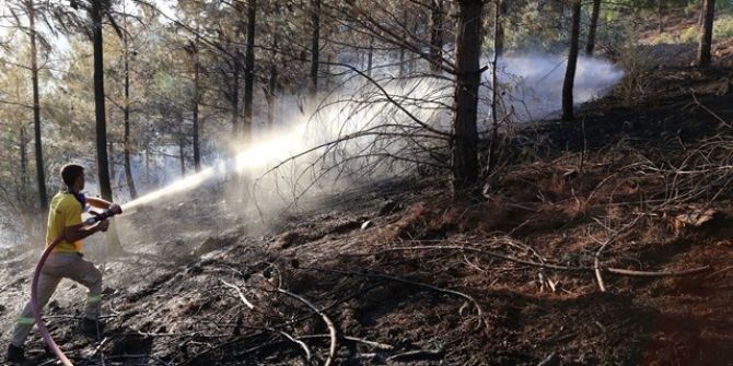 Adana’da Geçen Yıl Çıkan Yangınlarda 146 Hektar Orman Zarar Gördü