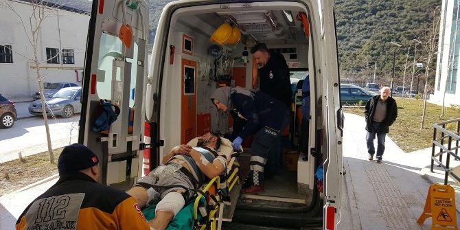 Zeytin Fidanı Çalan Kardeşleri Uyarınca Tüfekle Vuruldu