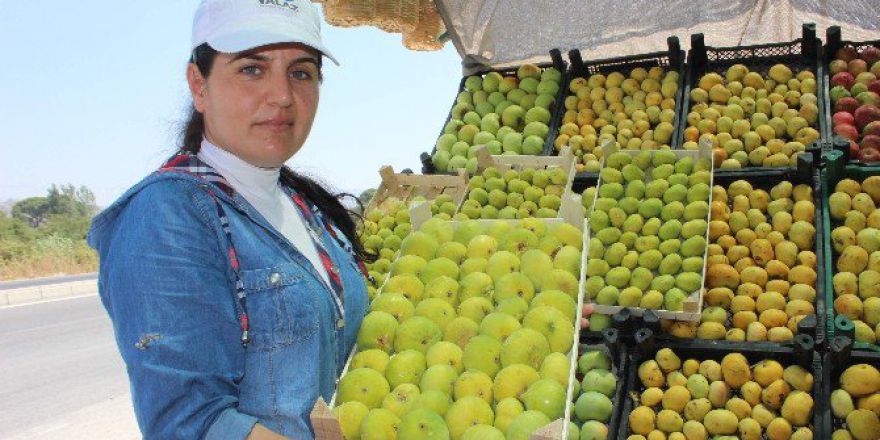 Aydın İnciri Tezgaha Düştü