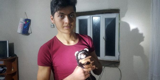 Soğuktan Kaçan Kokarca Köyün Neşesi Oldu