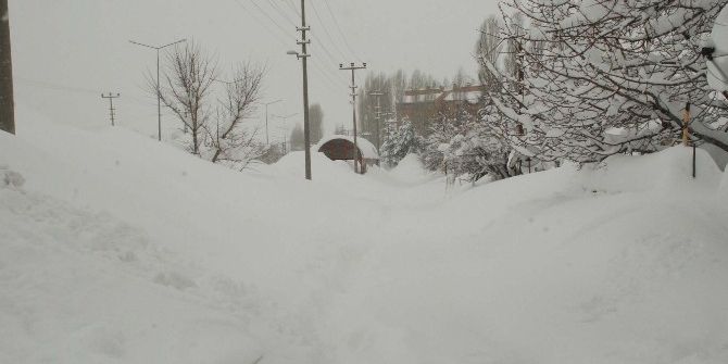 Bitlis’te 257 Köy Yolu Ulaşıma Kapandı