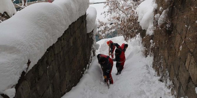 Bitlis Belediyesinden Karla Mücadele Çalışması