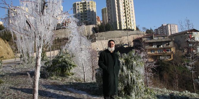 Kocaeli’de Buz Tutan Yeşil Alandan Karposttallık Görüntüler