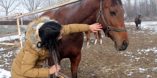 Türkiye’nin Yarış Atları Ereğli’de Yetişiyor