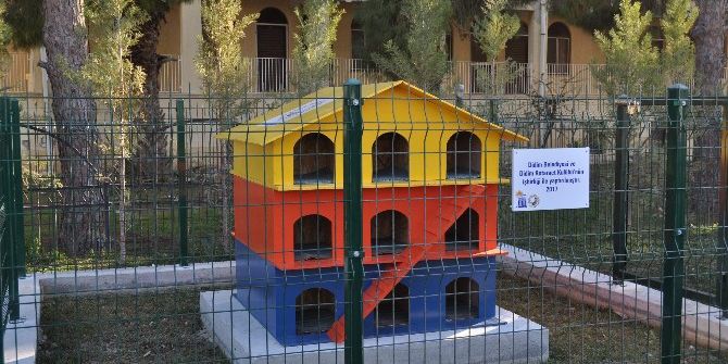 Didim Belediyesi Kedileri “Ev”lendirdi