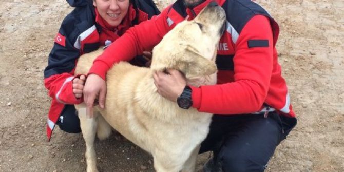 “Şanslı”nın İmdadına Umke Yetişti