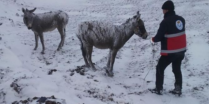 Haliliye Belediyesinden Örnek Davranış