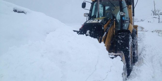 Silvan’da Kar Esareti