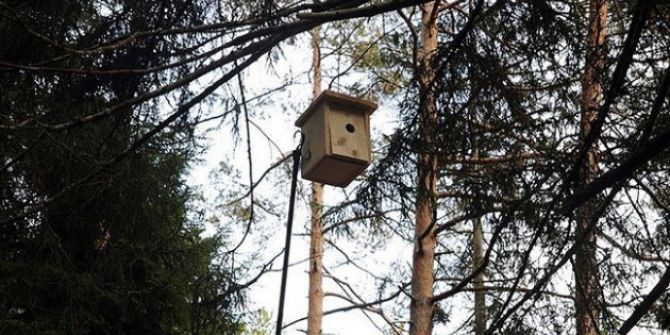 4 İldeki Ormanlara Bin 225 Kuş Yuvası