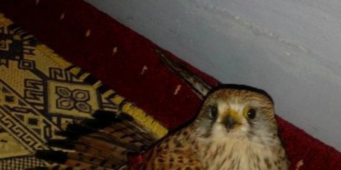 Duyarlı Vatandaştan Örnek Davranış