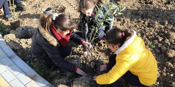 Gaü Okullar Grubu Girne Belediyesi İle Ağaç Dikimine Katıldı