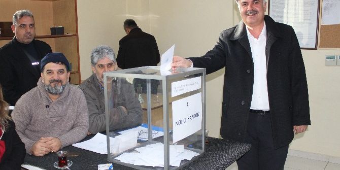 Petrol-iş Sendikası Delege Seçimi Yapıyor