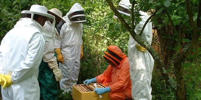 Erzincan’daki Orman Köylülerine 11,3 Milyon Tl Katkı