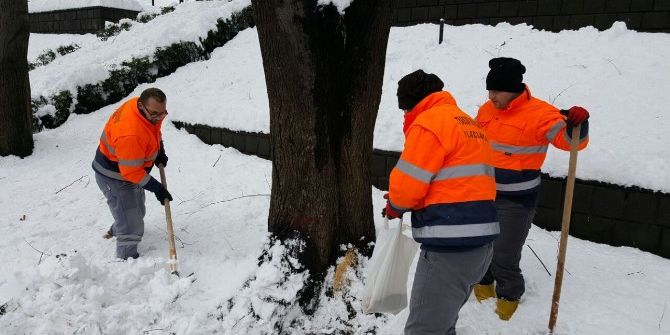 Trabzon’da Hayvanlar İçin Yemleme İstasyonları Oluşturuldu