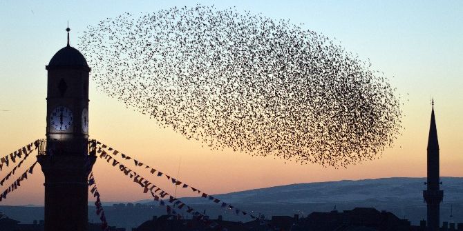 Kuşların Gün Batımındaki Etkileyici Dansı