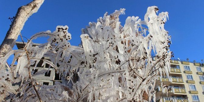 Kilis’te Ağaçlar Buz Tuttu