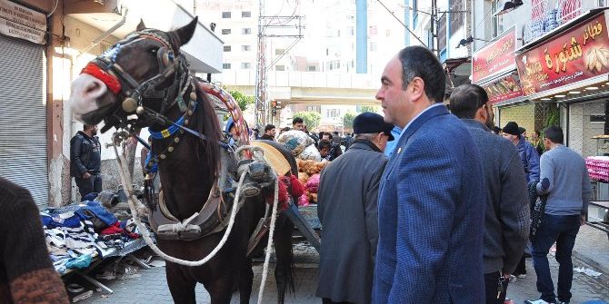 Tümer: “Bit Pazarı’ndaki Keşmekeşlik Adana’ya Yakışmıyor”
