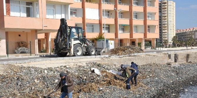 Erdemli Sahilleri Temizleniyor