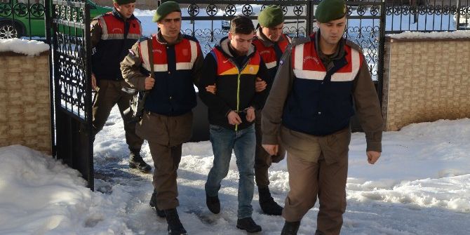 Müzik Kutusundan Bonzai Çıktı