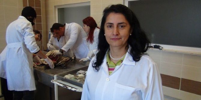 Antalya’da Dağ Keçileri Ölü Bulundu