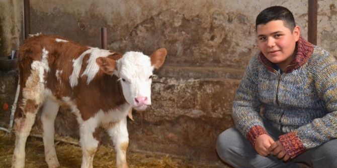 Kütahya’da 146 Aileye Süt Sığırcılığı Kredi Katkısı