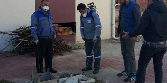 Korkuteli İlçesi’nde Sinekle Mücadele Çalışması Başladı