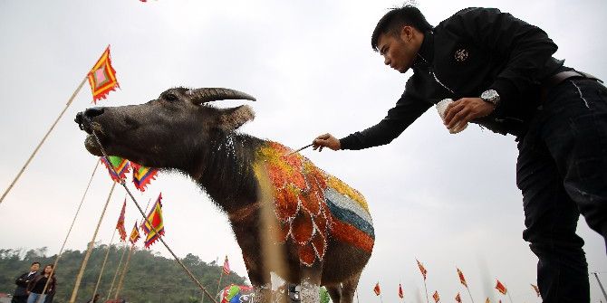 Vietnam’da Bufalolar Üzerinde Sanat