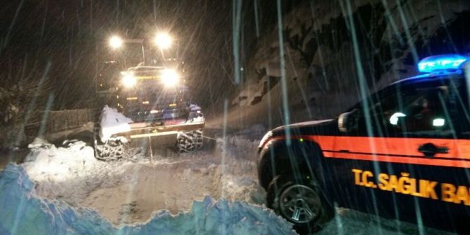 Diyarbakır Kırsalında 85 Hastaya Ulaşıldı