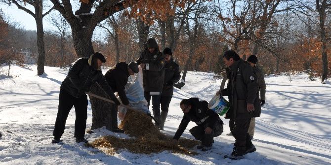 Yaban Hayvanları Unutulmuyor