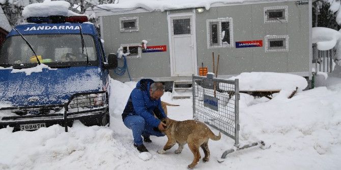 Jandarma Cerattepe’de 1 Yıldır Aralıksız Nöbet Tutuyor