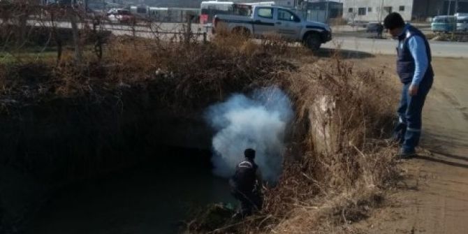 Büyükşehir Temiz Çevre İçin Çalışıyor