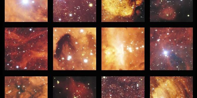 Gök Kedi Ve Kozmik Istakozun Buluşması