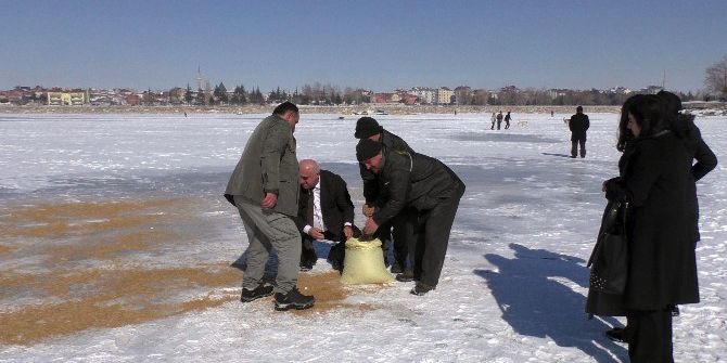 ’Dünya Sulak Alanlar Günü’ Buz Tutan Beyşehir Gölü’nde Kutlandı