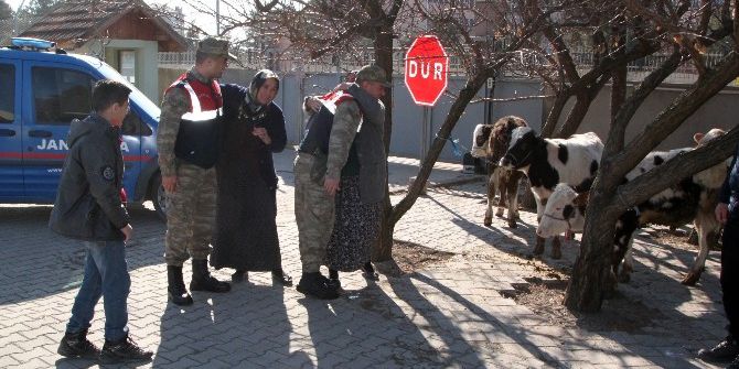 Çalınan Hayvanları Bulunan Köylülerin Sevinci
