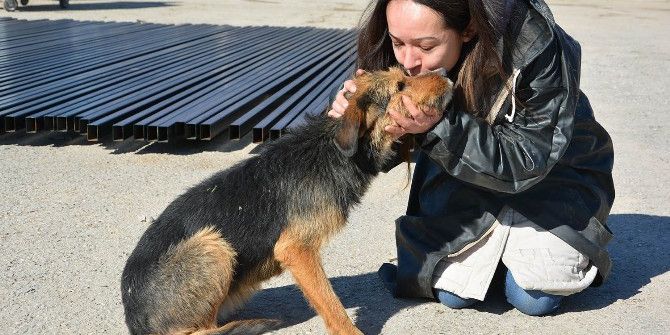 Hayvansever Nida Çetinşahin; "Bir Taş Da Sen Kaldır"