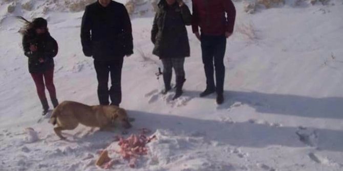 Gürün’de Yaban Hayvanları İçin Doğaya Yiyecek Bırakıldı